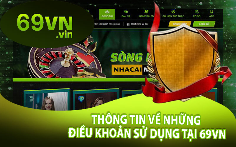 Thông Tin Về Những Điều Khoản Sử Dụng Tại 69VN